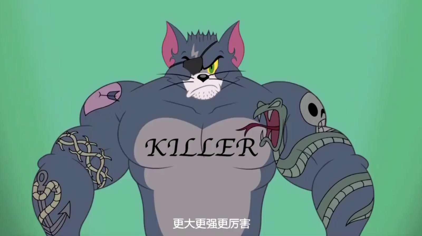 新猫和老鼠:杰瑞嘲笑汤姆的蠢样,主人吐槽猫几秒钟之内被击倒