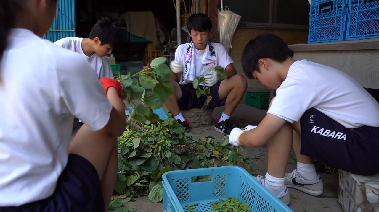 这是日本学校饭堂做午餐的过程,看看日本的食品干净卫生吗?