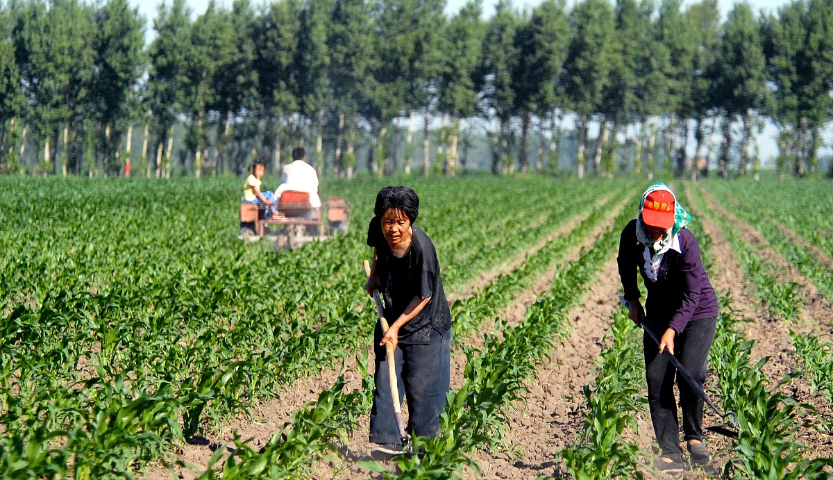 黑龙江农业经济职业学院财务管理专业就业方向：前景广阔，多种选择