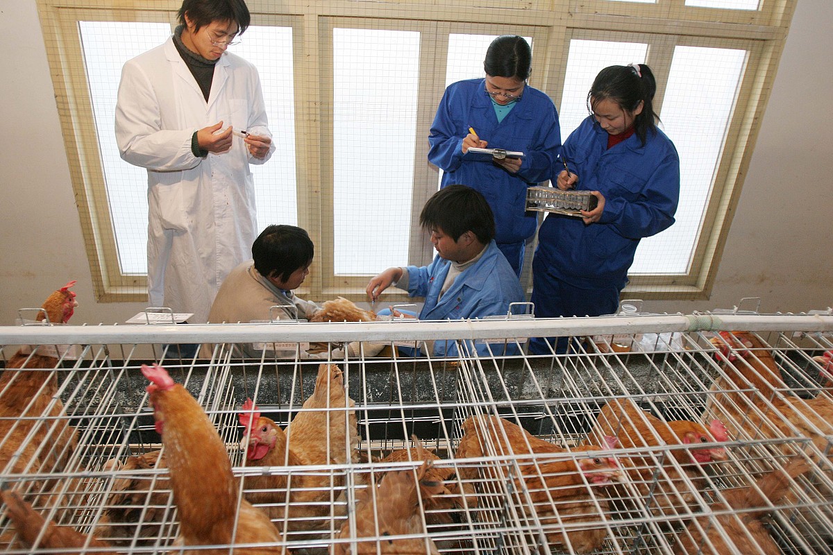 贵州大学师范学院2019年招生简章