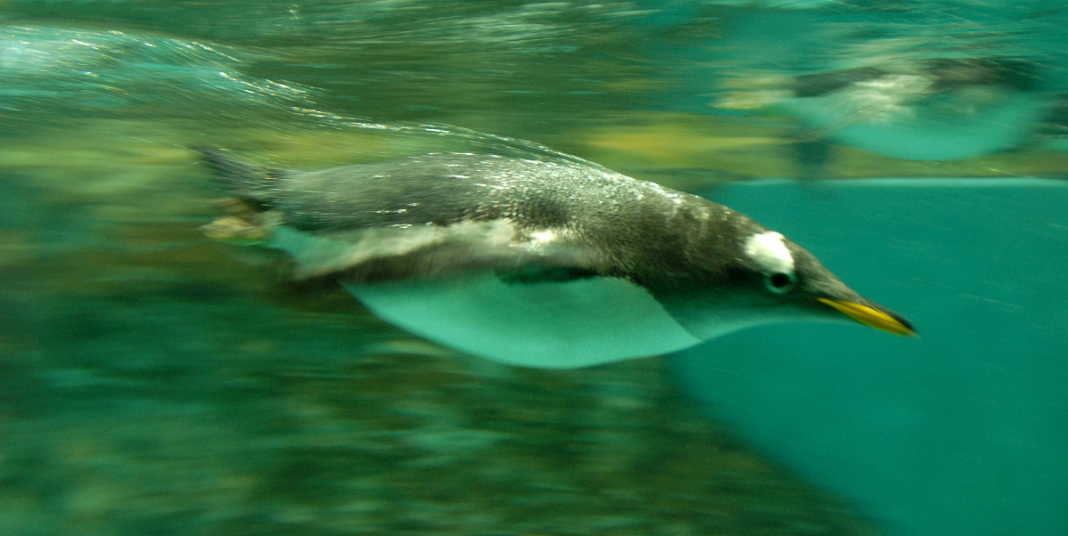 大连海洋学校2022年招生简章