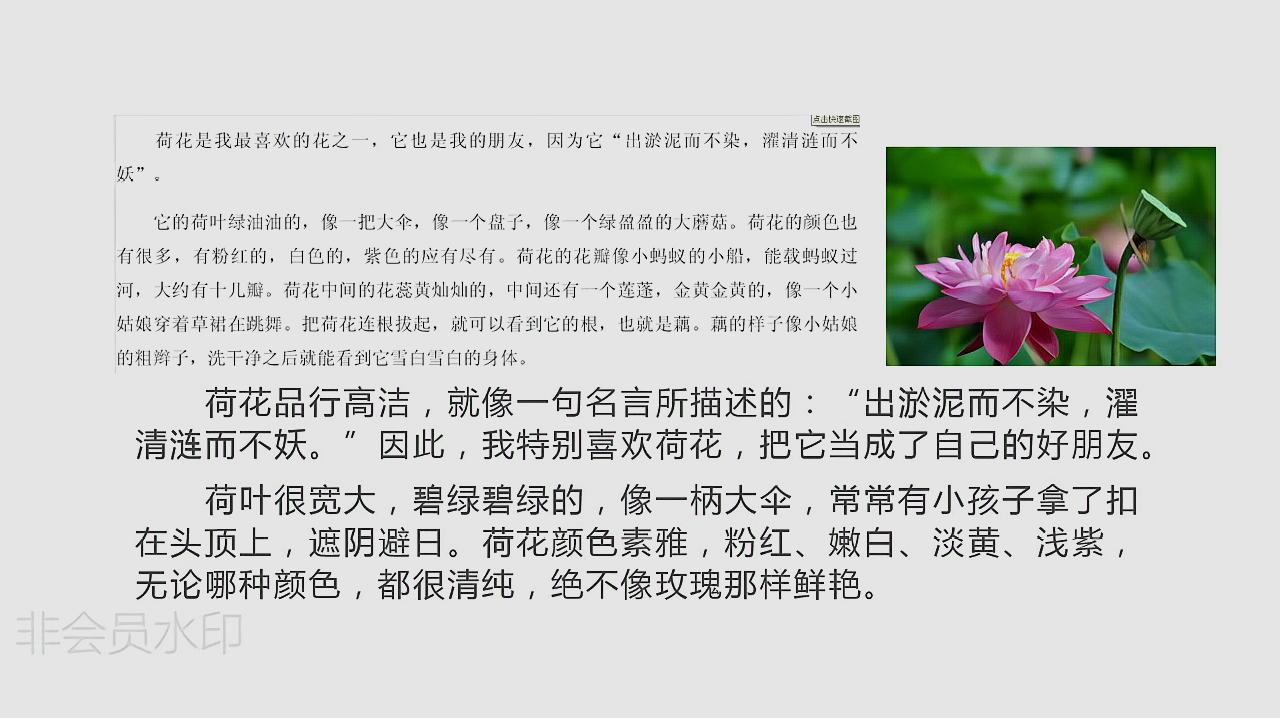 [图]三年级一单元习作,我的植物朋友作文,写作思路与方法