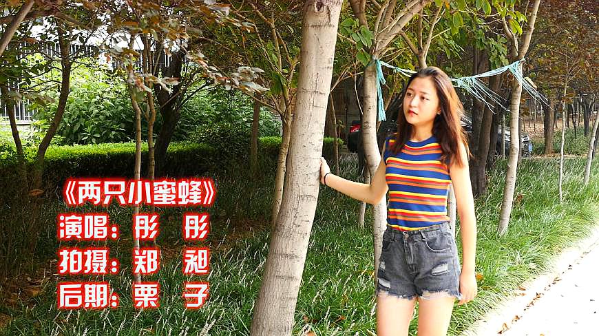 [图]《两只小蜜蜂》呀,飞在花丛中呀,跟着小虎牙的歌声回到童年时代