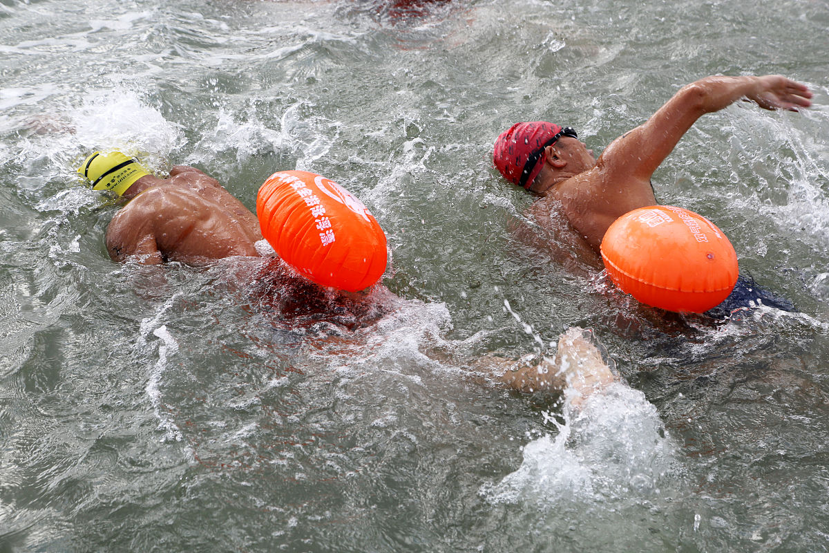 锦州医科大学畜牧兽医学院报考条件是什么