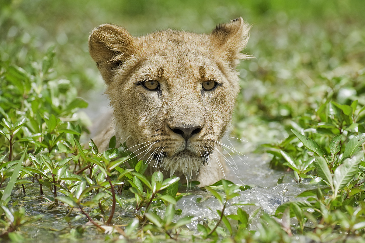四川幼师专业入学要求：成为一名合格幼师需要具备什么？