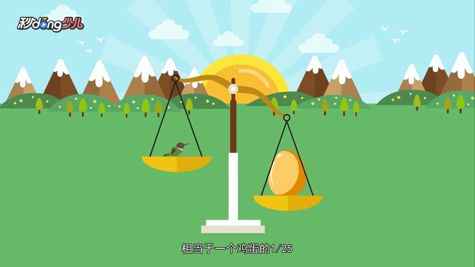 蜂鸟究竟有多小