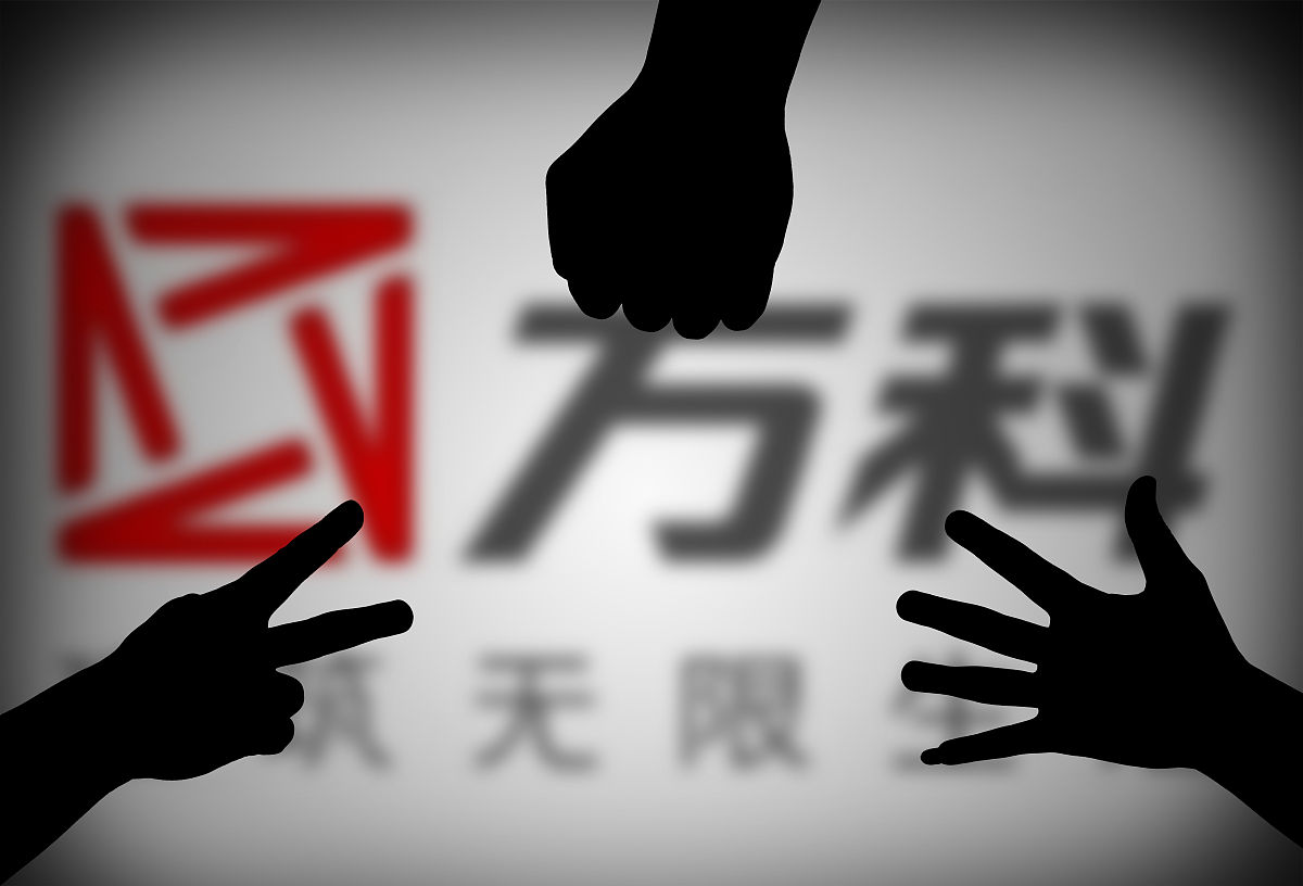 年度报告大纲：全面了解公司经营状况和发展规划