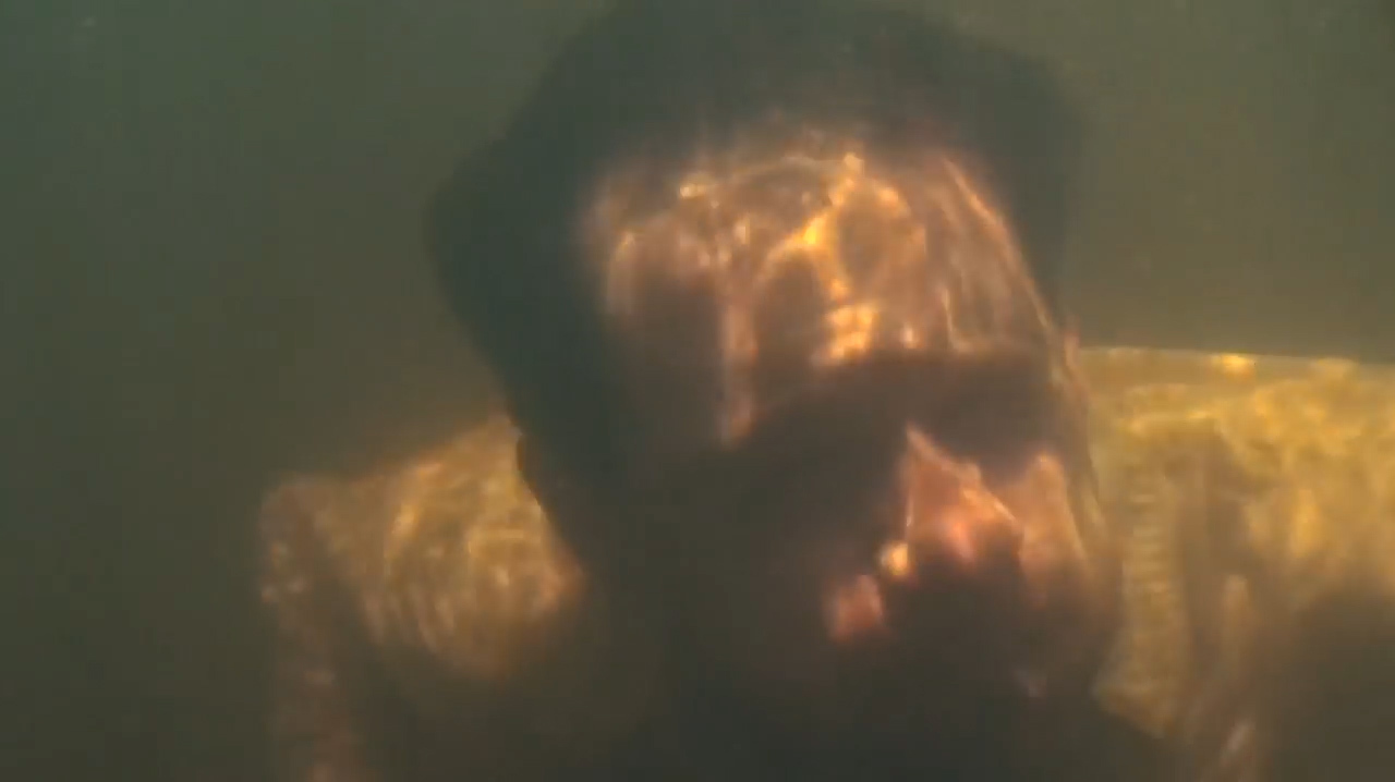 网友不嫌事大,只身跳入食人鱼水域,或许这就是外国人少的原因吧