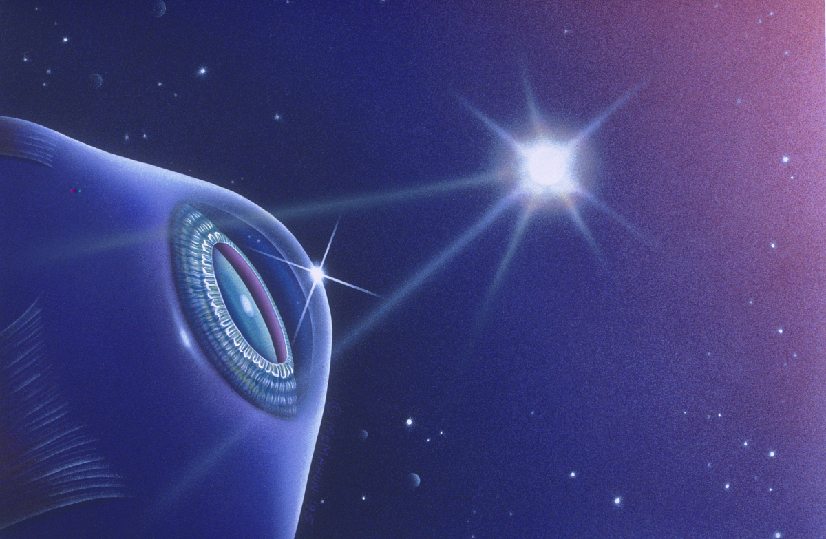 中医笔试考点总结 写一个爆款标题