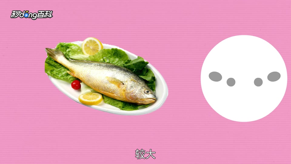 原来黄花鱼长这样