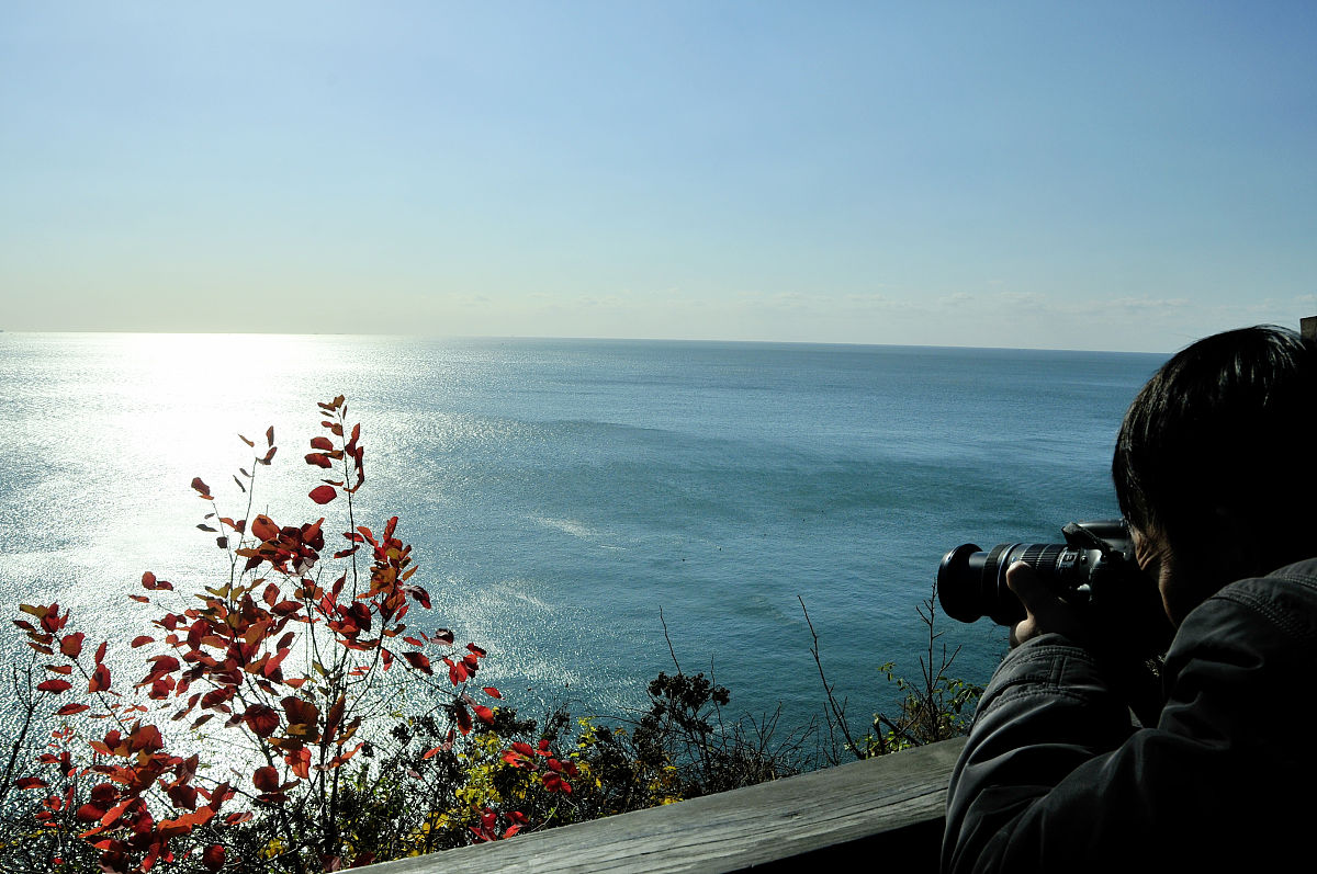 辽宁人口知多少？4200万人的东北宝地大揭秘！