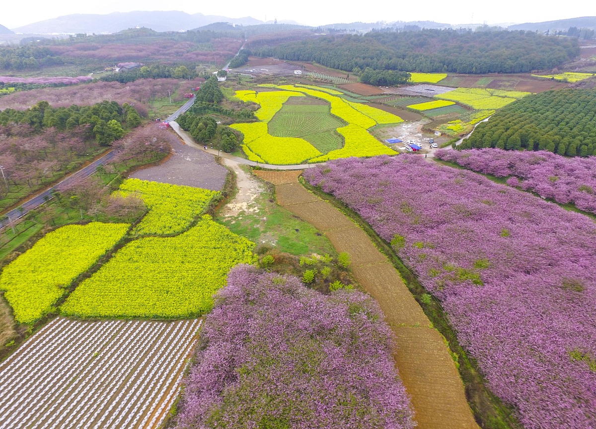 请帮我写1篇650字的博客文章主题是：女孩网名优雅大气