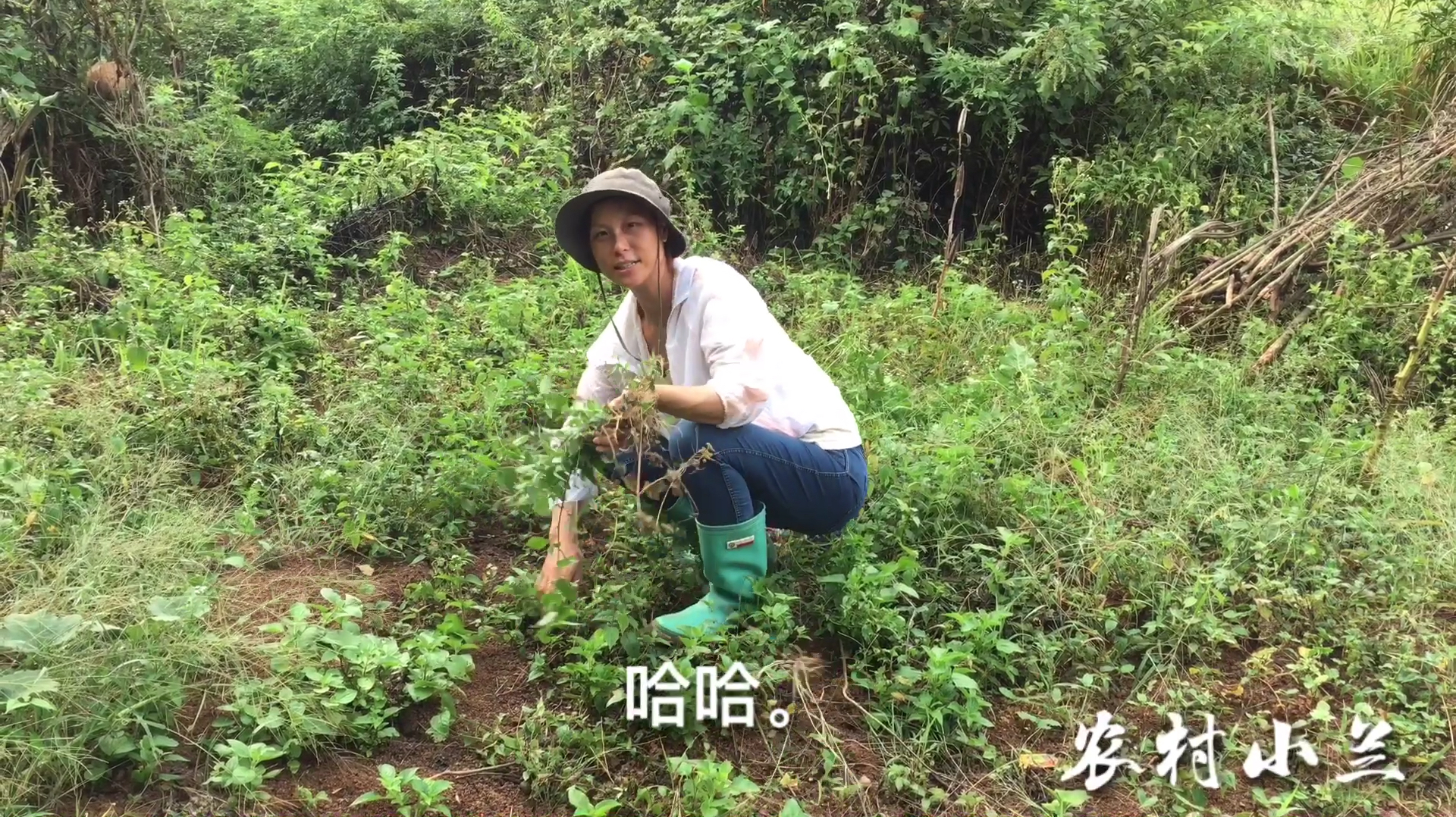 如何种青菜?农村媳妇教你这样做,简单又长苗快