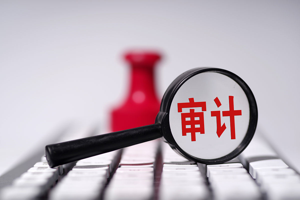 2023年报读审计专业如何用
