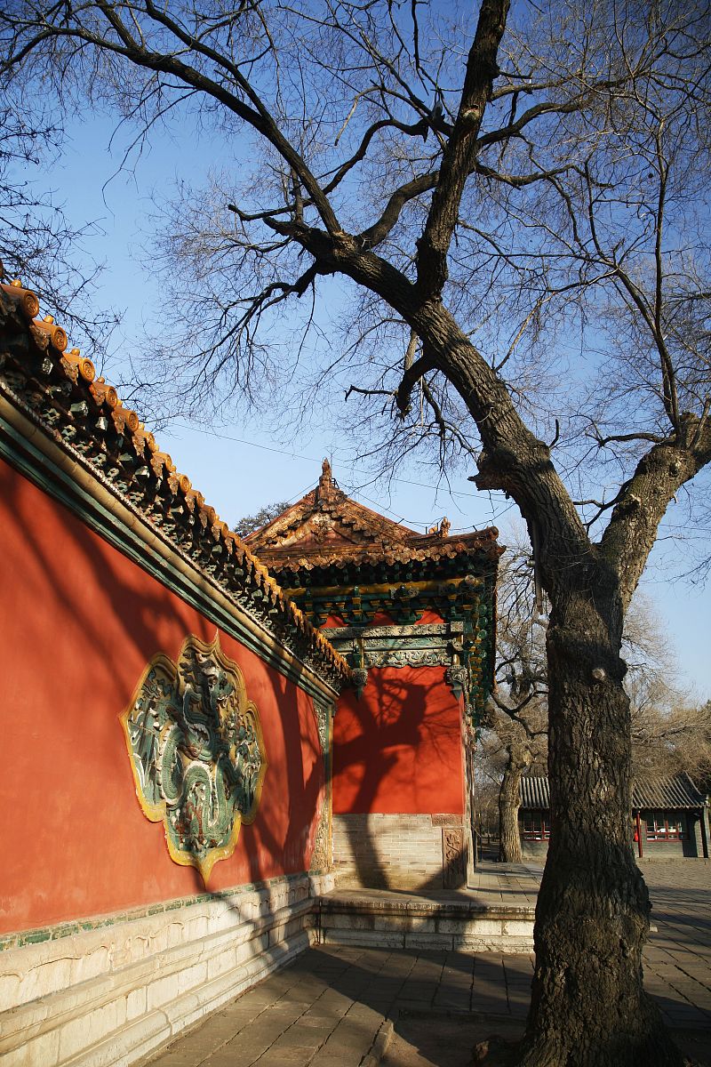 师范类的历史学算不算教育类 师范初中时毕业后能做什么