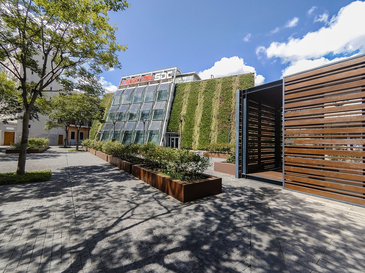 教师专业发展案例征集：分享经验，共同成长