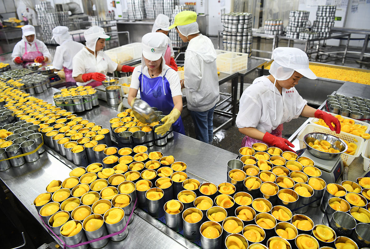 罐头行业革新：如何提升产品质量和市场竞争力