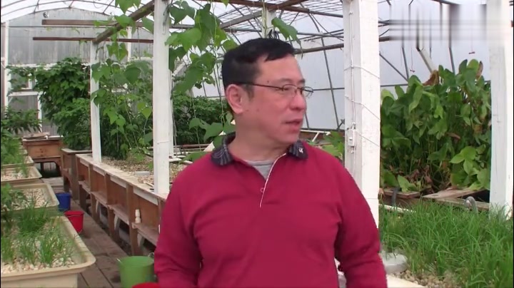 鱼菜共生分享课第十讲:鱼粪的处理