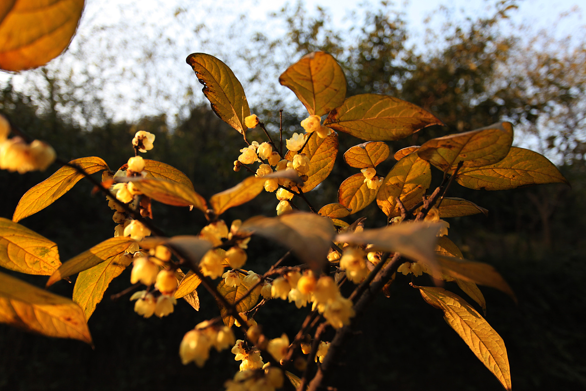 西南医科大学泸州医学院地址在哪里