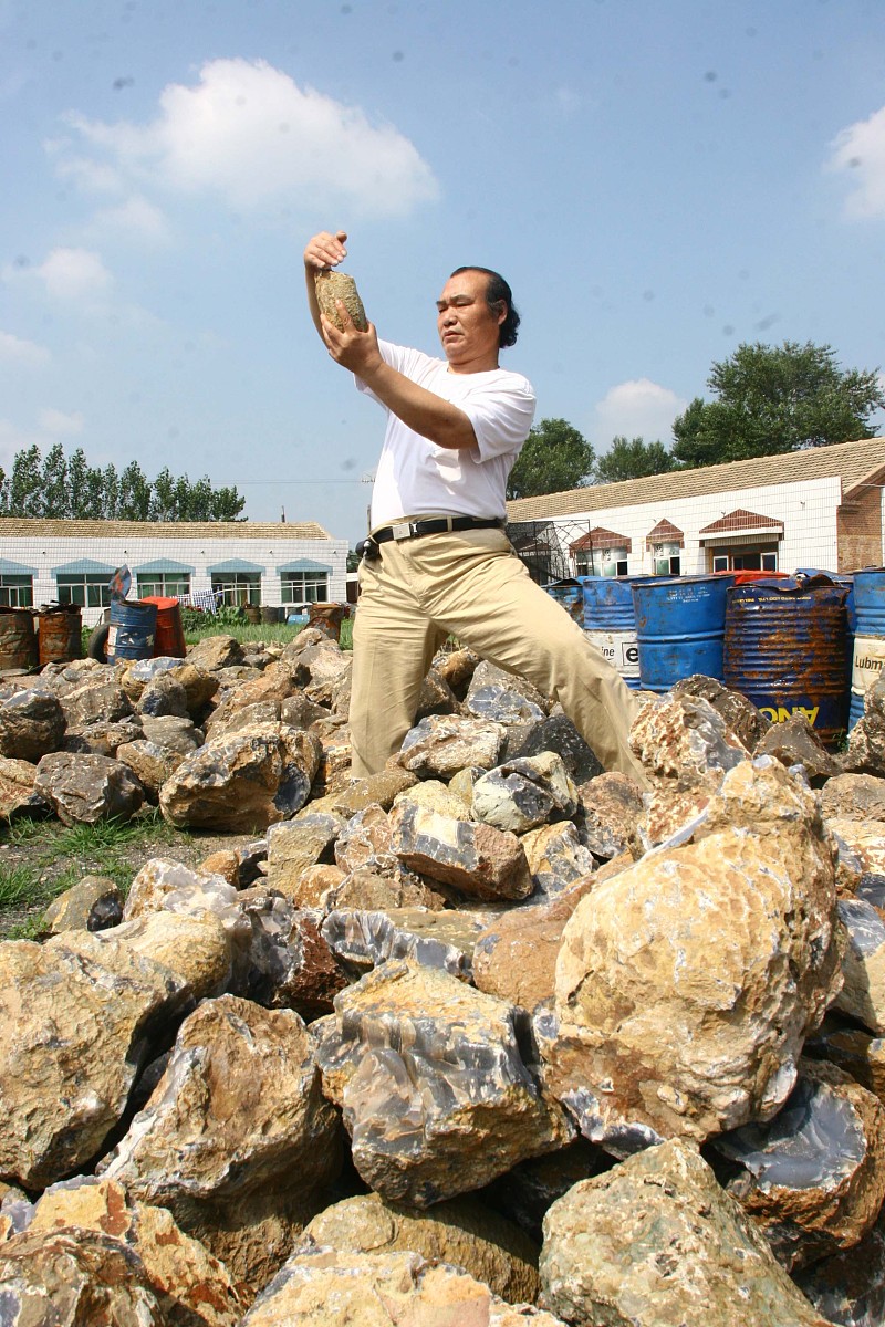 2008年8月29日,辽宁省阜新市十家子镇,民间艺人挑选可以雕刻成艺术品