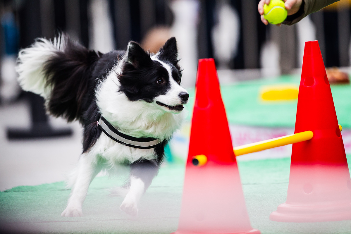 如何称赞别人大笑：10个赞美词语让你笑声更动听