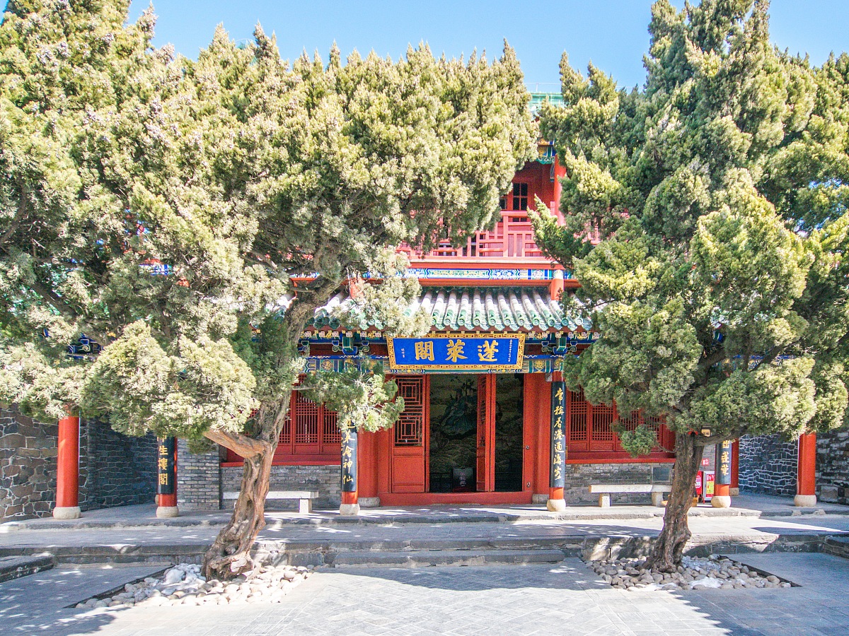 2023年去烟台一职怎么报名_好不好