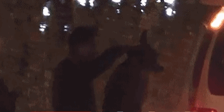 被導演太太團封殺，踩范冰冰裙子，話題爆表的張靜初怎麼flop的？