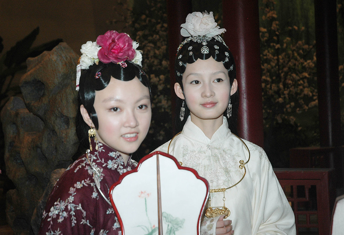 写800字《红楼梦》梗概