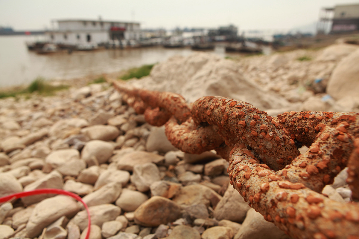 无锡技师学院环境工程专业：培养环保人才，助力绿色发展