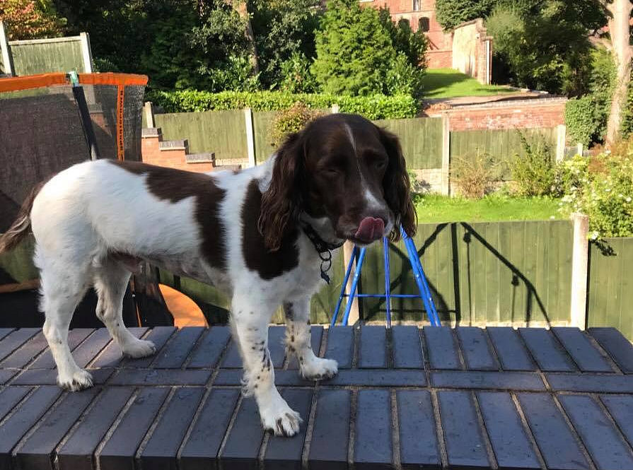 四级指令流水线操作周期计算 - 详解及示例