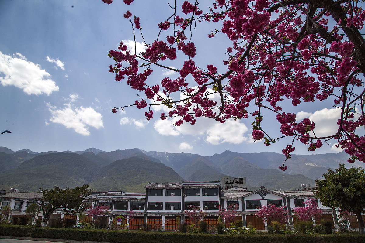 2018年4月3日,云南省,大理白族自治州,大理市,苍山国家地质公园.***_*