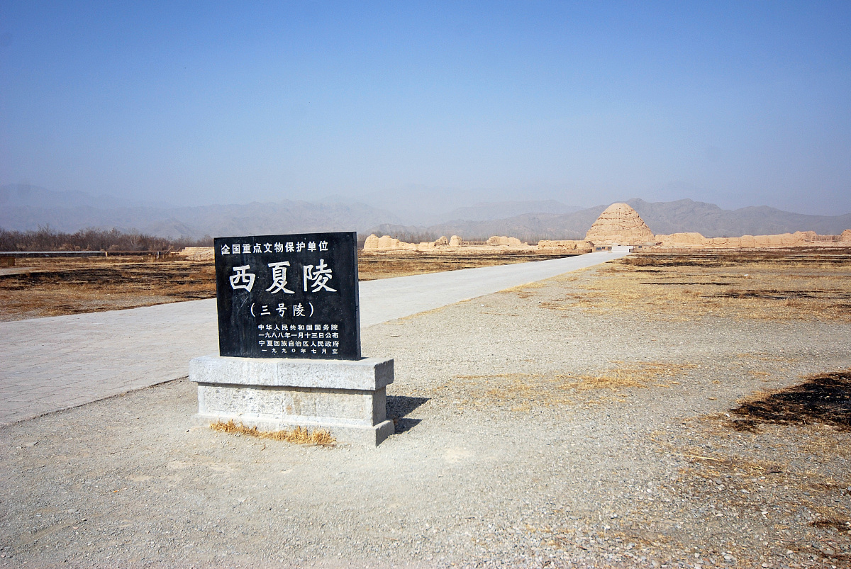 娄底职业技术学院旅游管理专业课程设置：学习内容与就业方向