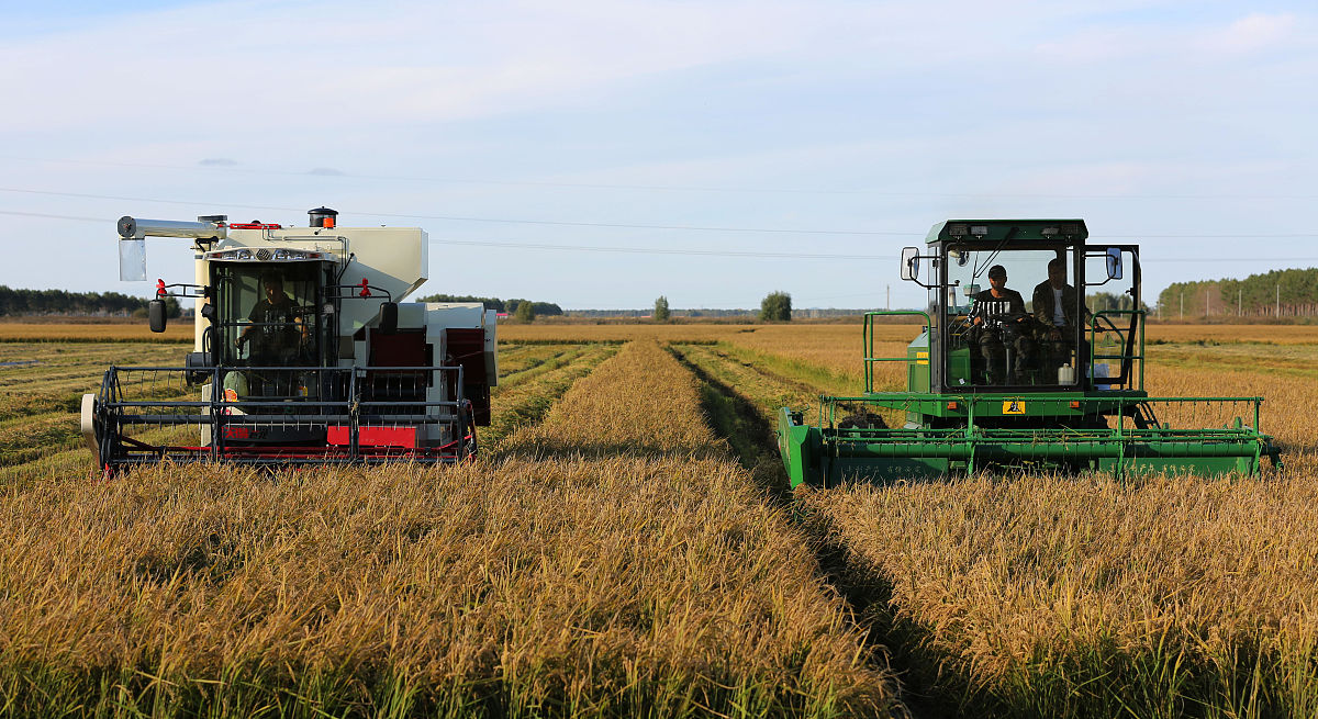 临泽职业教育中心农业机械化专业怎么样
