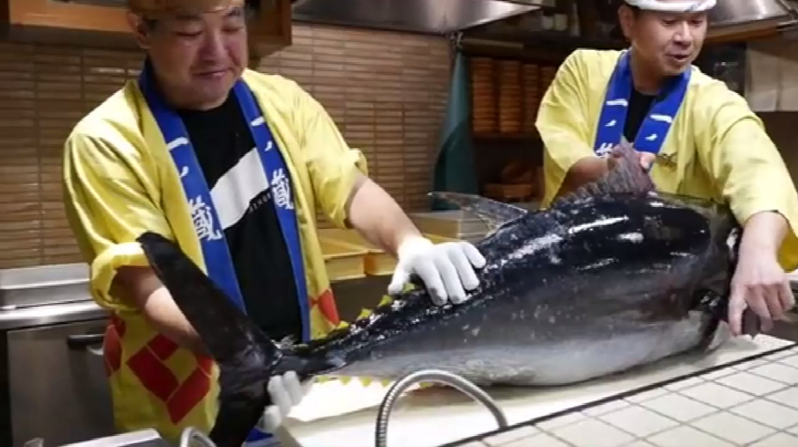 金枪鱼切割展示,生鱼片刺身和鱼眼料理,日本人真是什么都吃呀!