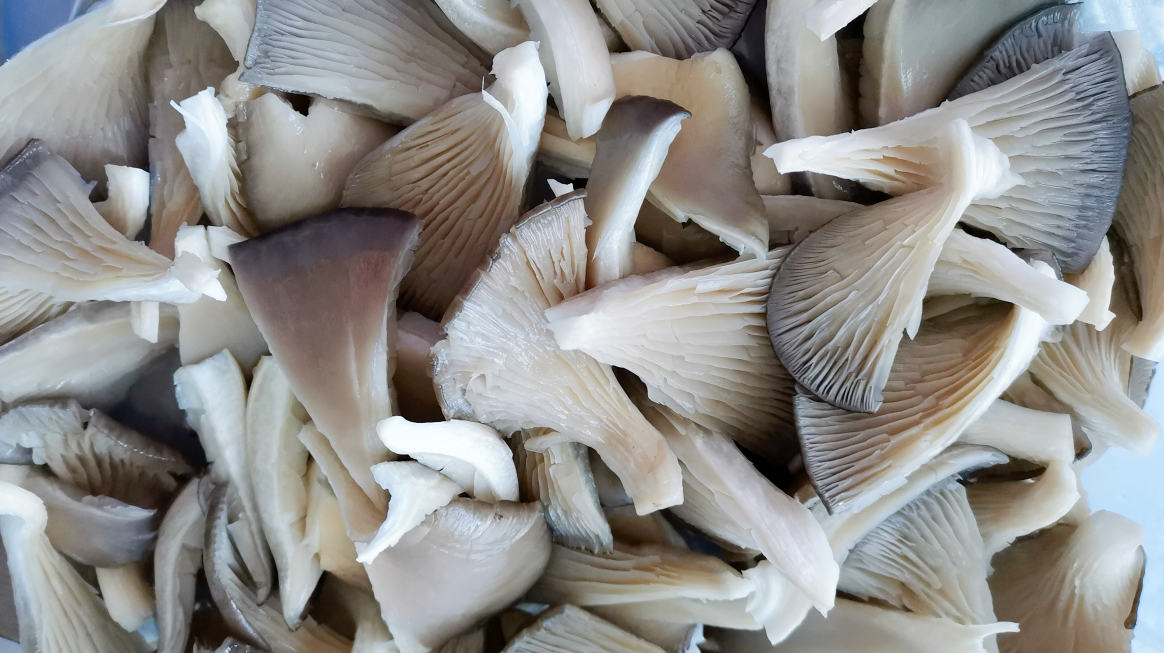 天冷了,平菇最适合这样吃,汤菜一锅出,温补驱寒,让人无法抗拒