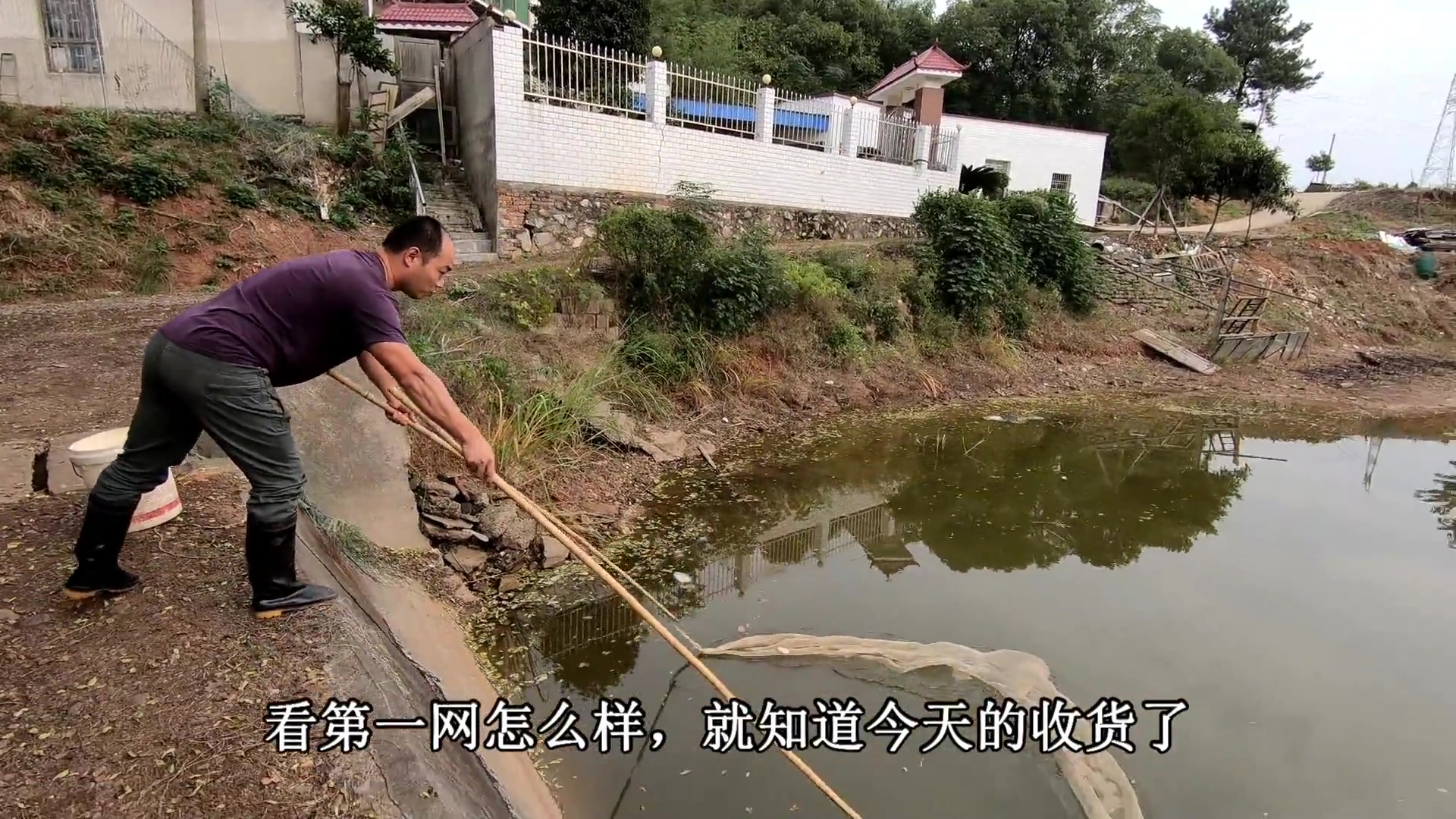 农村小飞哥到池塘里捕鱼,十几分钟轻松捕几百只虾子