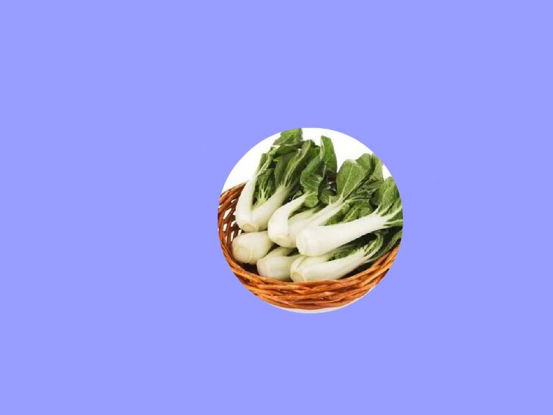 奶白菜:一二年生草本植物