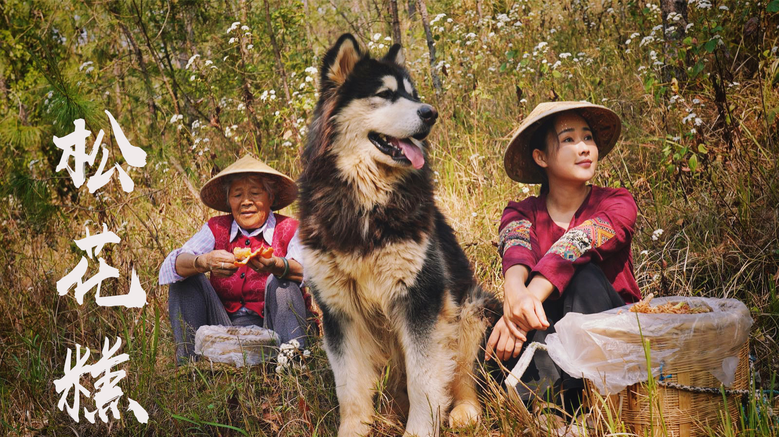 松花糕—古镇街头那个软绵香甜的小方块糕点
