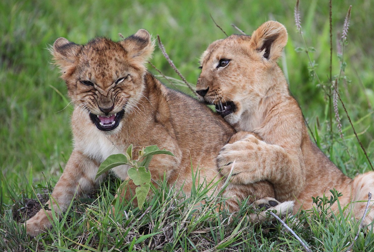 重庆2021100分能上幼师学校吗