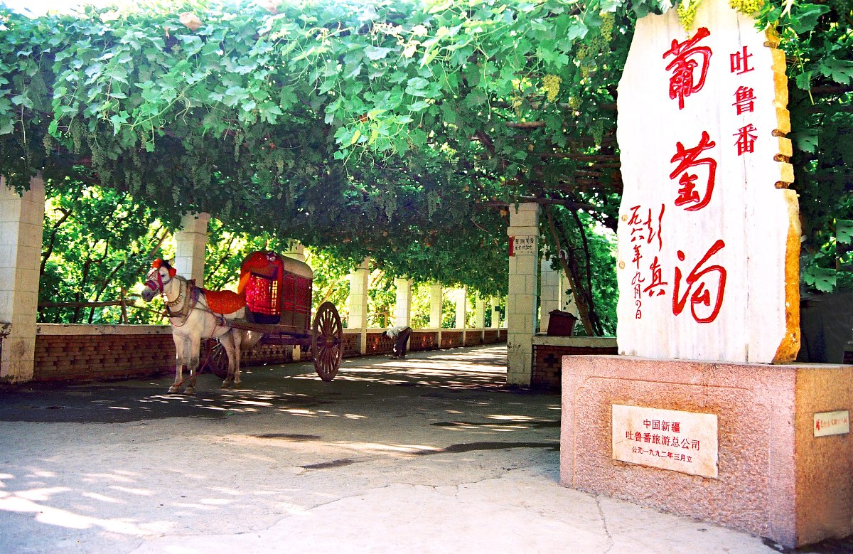 吐鲁番葡萄沟的保护措施维修情况