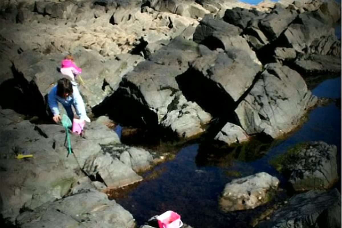 用museum、cook、player、chess、play chess、come on写3岁小学生的英文短文