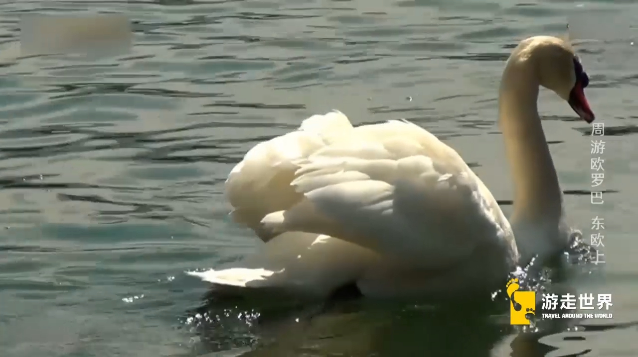 周游欧罗巴:旧天鹅堡的风格,竟震撼着年轻国王的心灵!