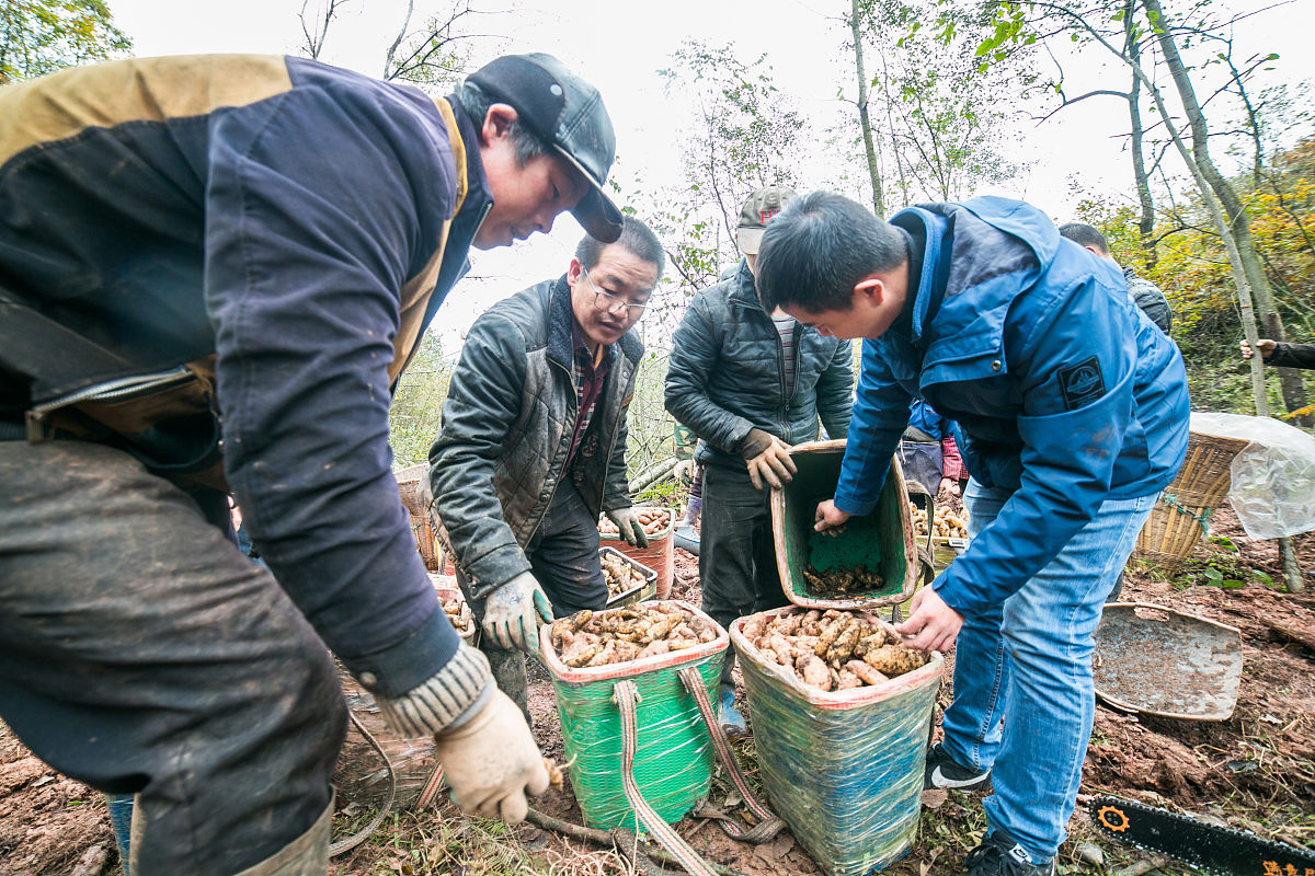 贵州省城镇建设专业2019年招生简章