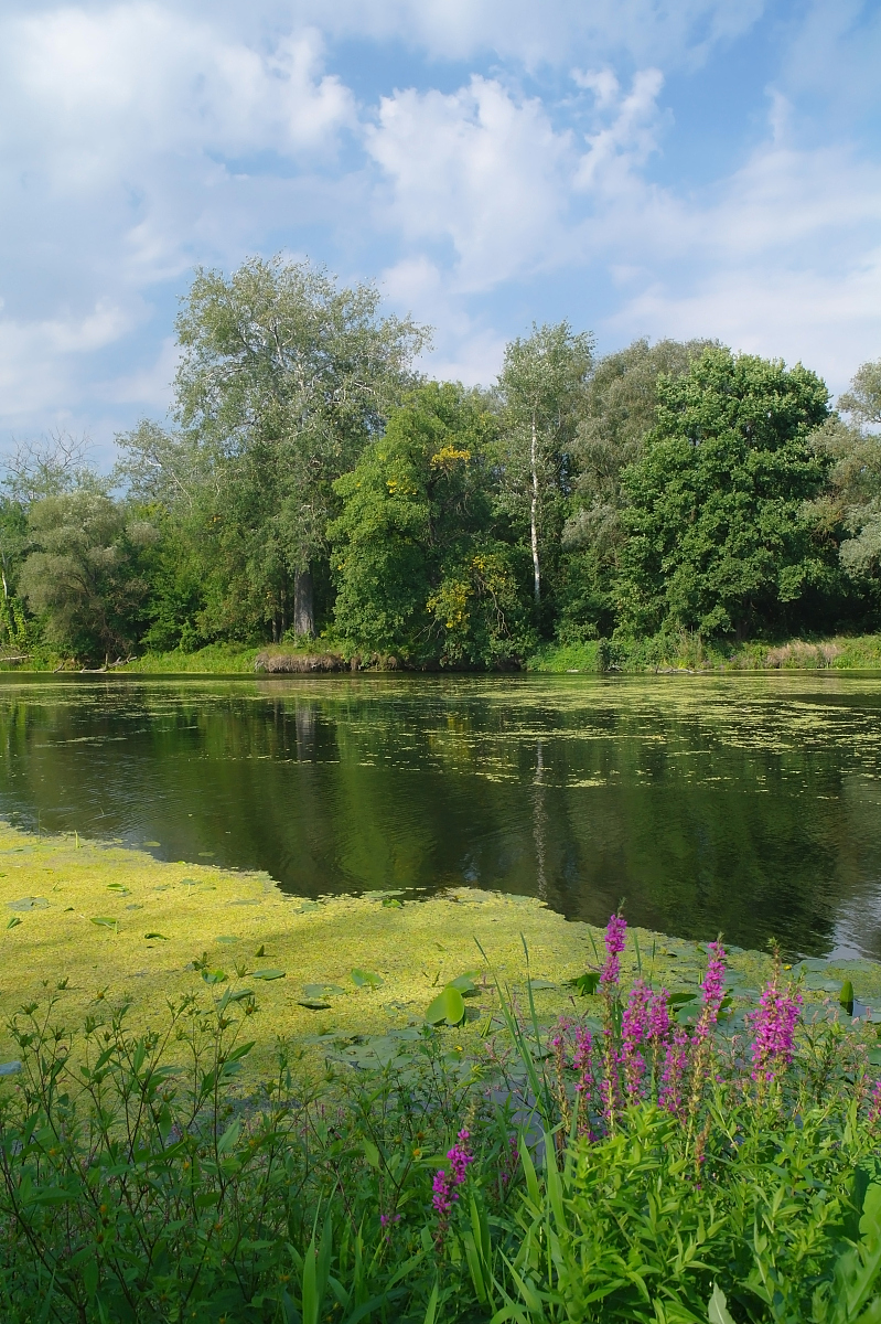 雨后世界：风景的变化与感受
