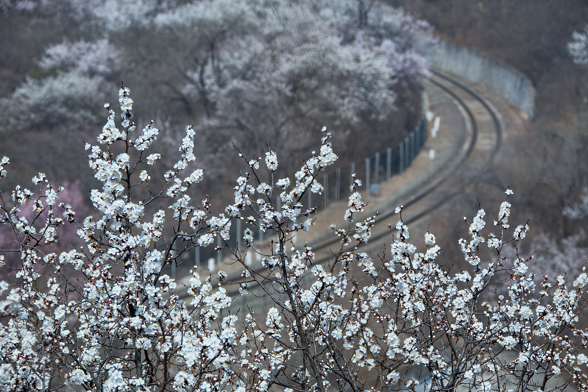 请为我写一篇能吸引人的小红书文本