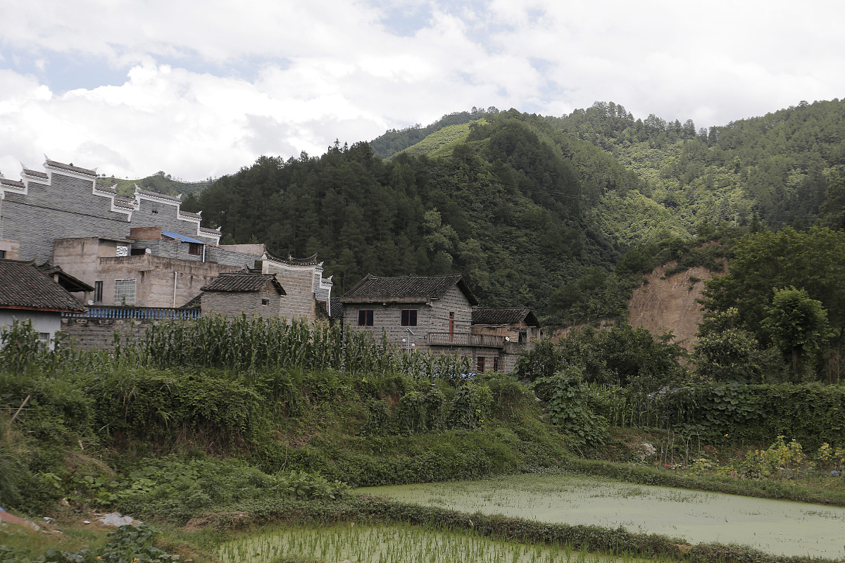 天长市游客指南：遇到问题如何寻求帮助？