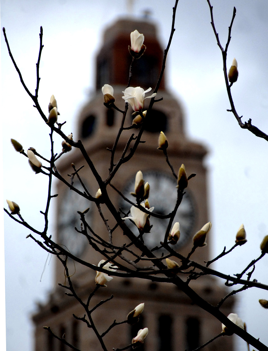 影响测量截止电压的因素有哪些？有哪些测量方法？