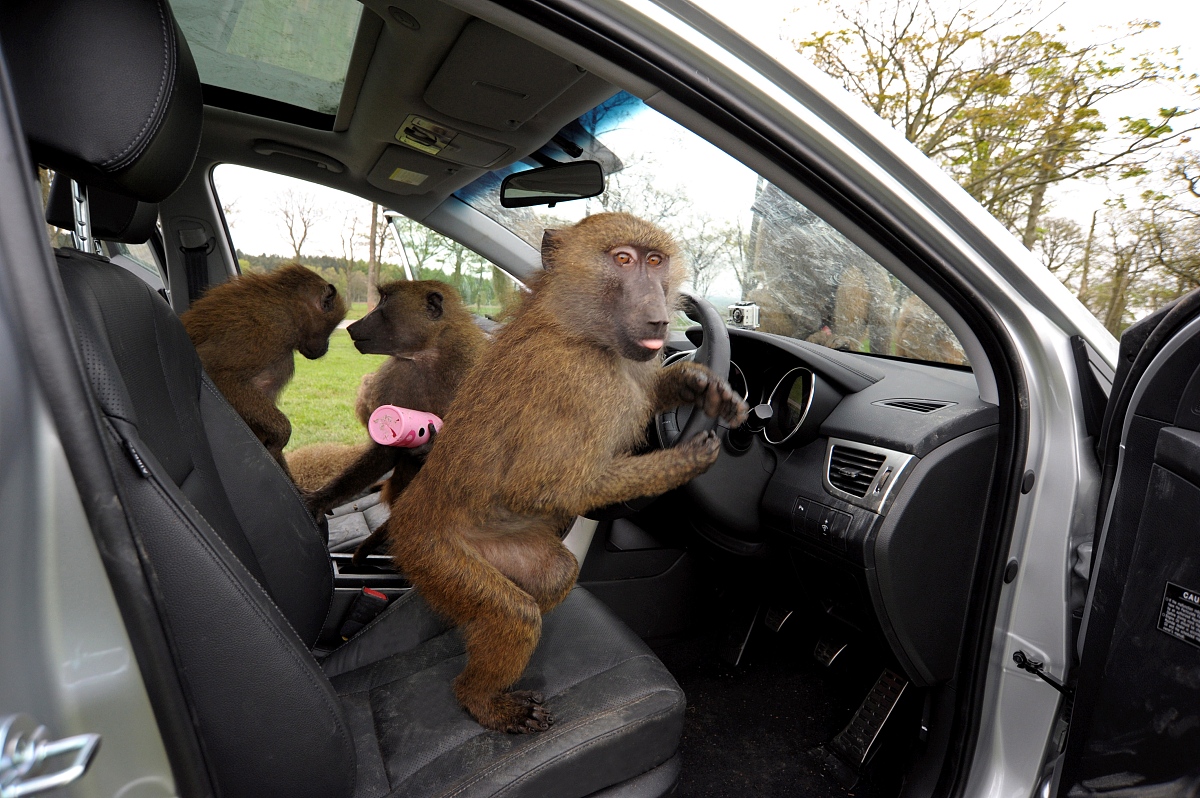 80代末农村工作队的队员国家能给予队员什么优惠政策帮我用230字详细描述