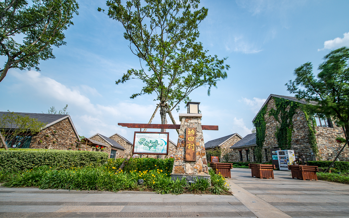 中国乡村旅游失败案例