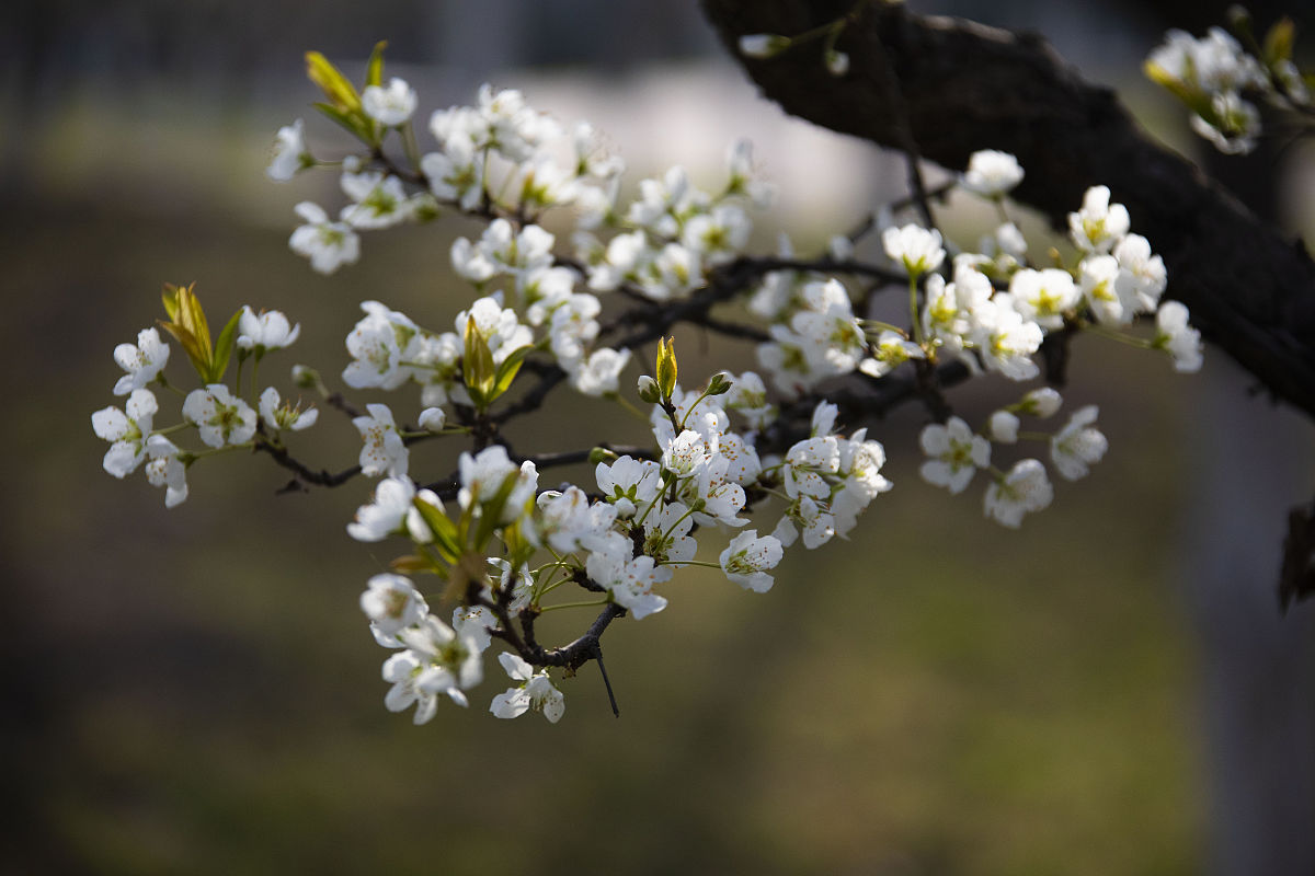 陕西女生读中专学什么专业好？热门专业推荐